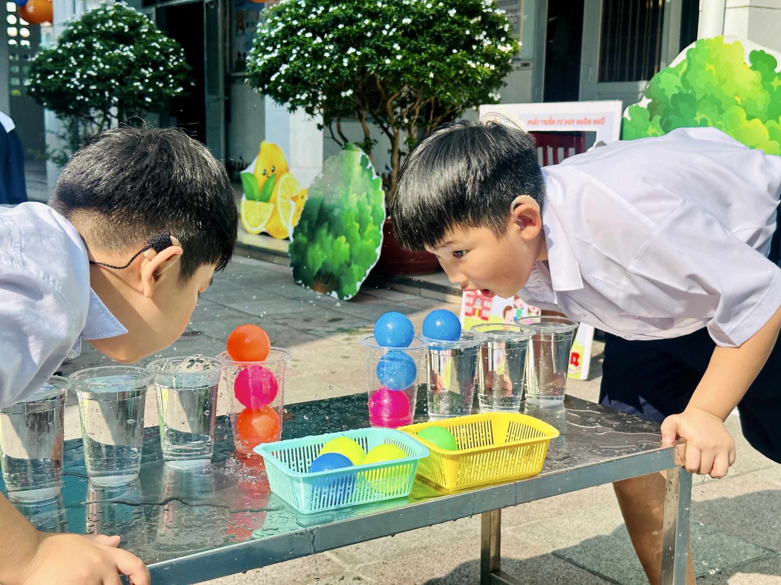stem-04